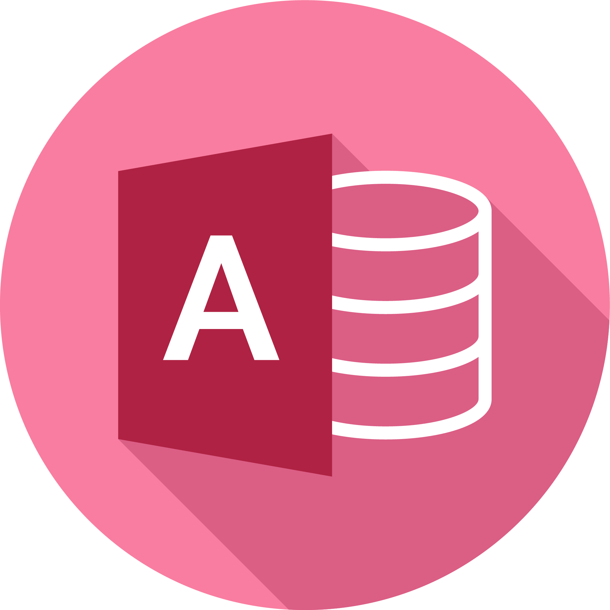 Microsoft Access