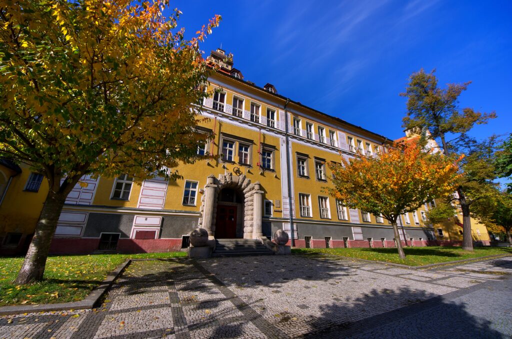 Doplňovací volba do školské rady 2024–2025