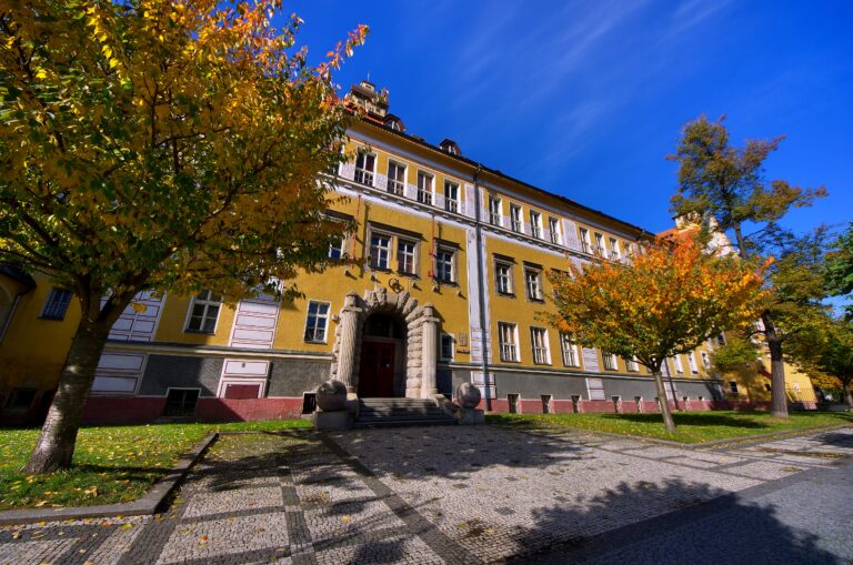 Doplňovací volba do školské rady 2024–2025