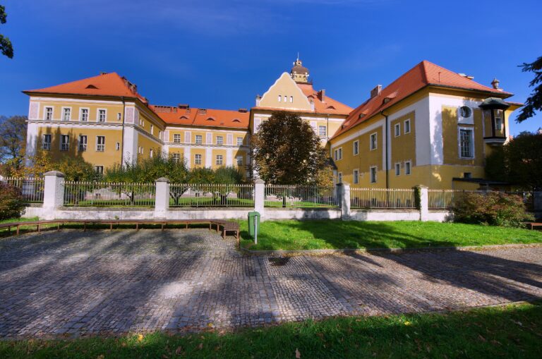 Výsledek doplňovací volby do školské rady