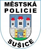 Práce městské policie, dopravní výchova, přestupky